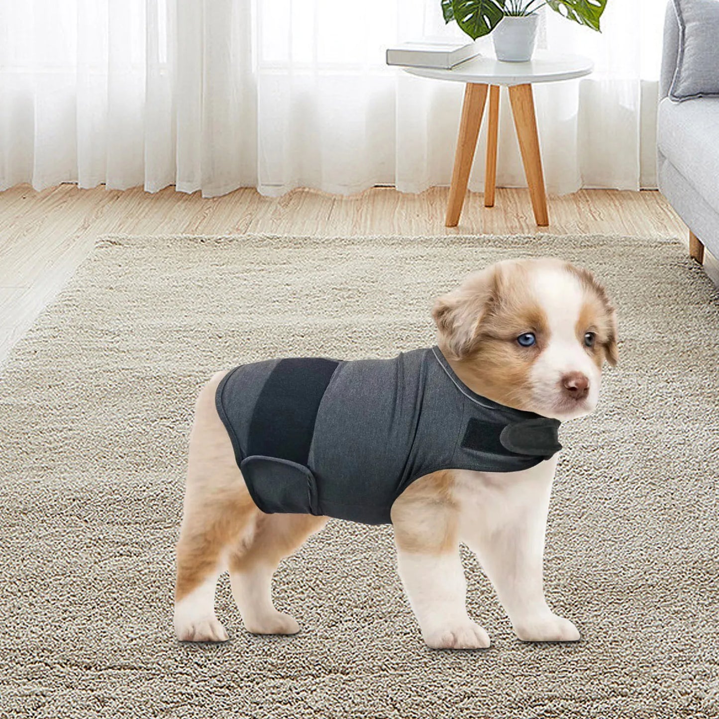 Classic Dog Anxiety Jacket Breathable Thunder Vest For Dogs Thunder Vest For Dogs Anxiety Shirt Dog Clothes For Anxiety Stress